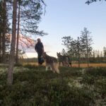 Ljørdalen - Trysil: Husky Hike with Campfire and lunch! - What’s Included and What to Keep in Mind