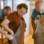 Ljubljana: The Power of the Ring Workshop - Why Choose This Workshop?