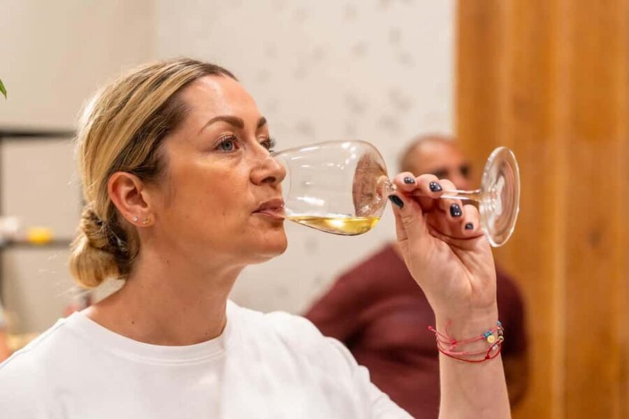 Ljubljana: Wine Tasting Experience - Practical Details and Tips