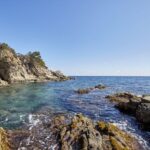 Lloret de Mar: Costa Brava Kayak Tour and Swimming - Who Is This Tour Best Suited For?