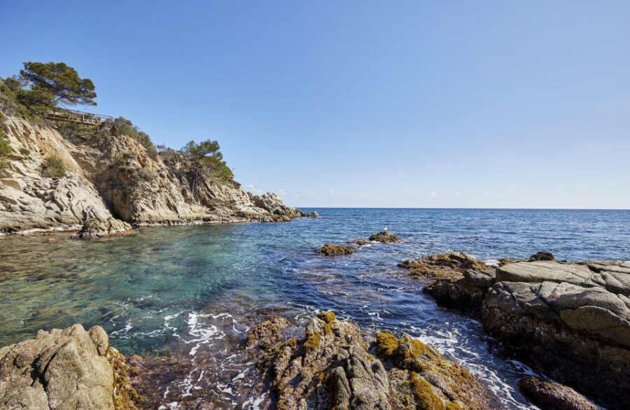 Lloret de Mar: Costa Brava Kayak Tour and Swimming - Who Is This Tour Best Suited For?