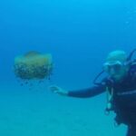 Lloret de Mar: Scuba Diving Experience no License Required - The Experience’s Value and Practicalities