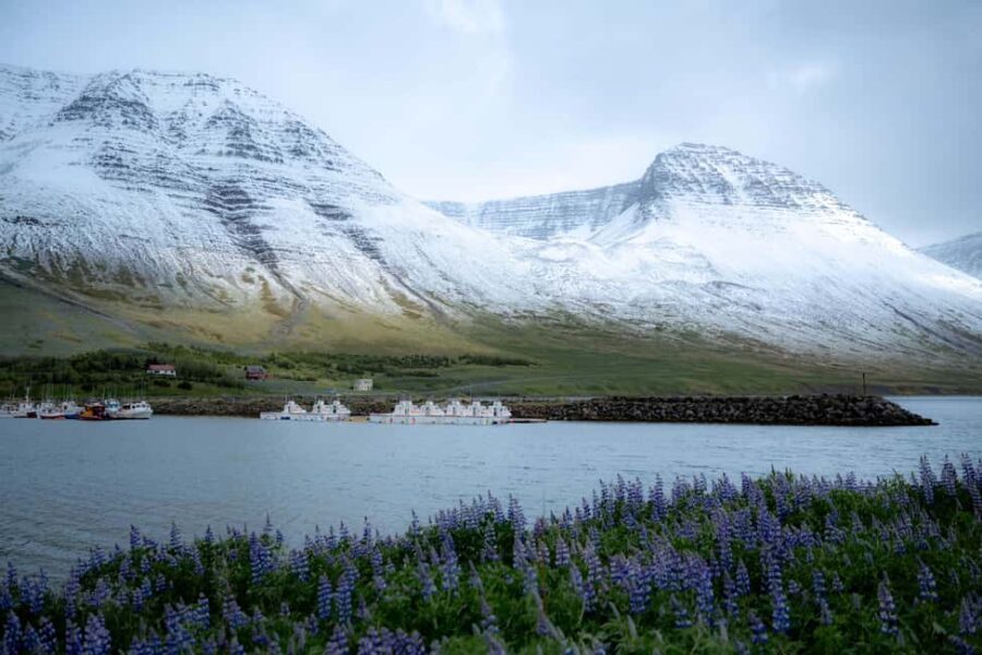 Local Guide Private Tour from Ísafjörður-Flexible Itinerary - Practical Details and Considerations