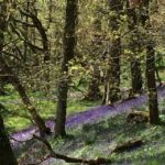 Loch Katrine Ebike Tour - The Practical Side: Value and Comfort