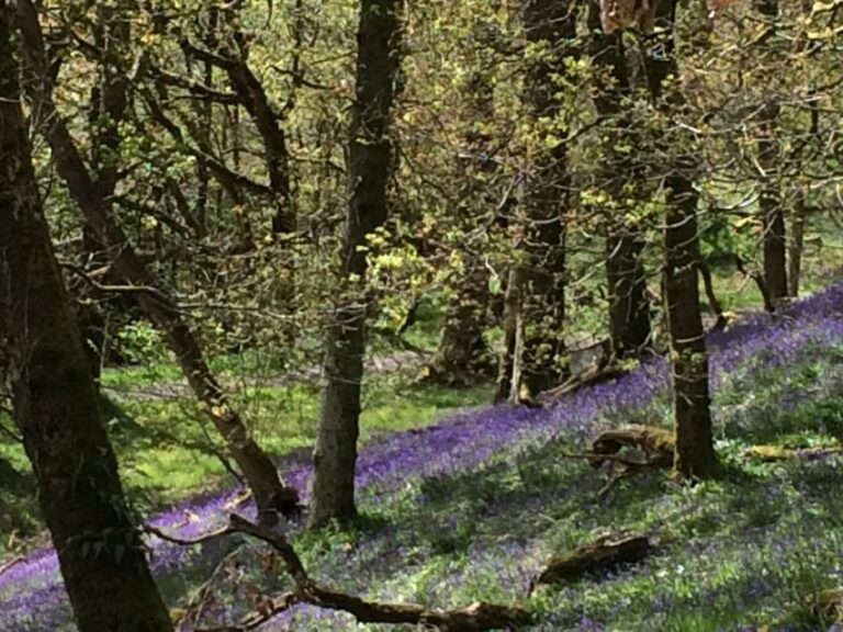Loch Katrine Ebike Tour - The Practical Side: Value and Comfort