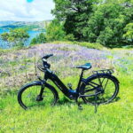 Loch Katrine: Goat Ice Cream Tasting and Farm Tour by E-Bike - Practical Details and Value