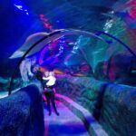 Loch Lomond: Sea Life Entrance Ticket - What to Expect on Your Visit