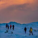 Lofoten: Half Day Snowshoe Tour - The Value of a Guided Snowshoeing Tour in Lofoten