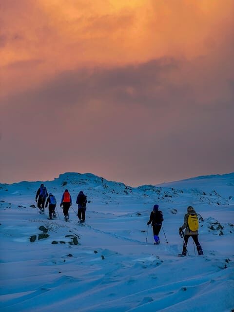 Lofoten: Half Day Snowshoe Tour - The Value of a Guided Snowshoeing Tour in Lofoten