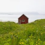 Lofoten: Private tour for cruise visitors (from Leknes) - Start at the Dock and Head to Haukland Beach and Uttakleiv