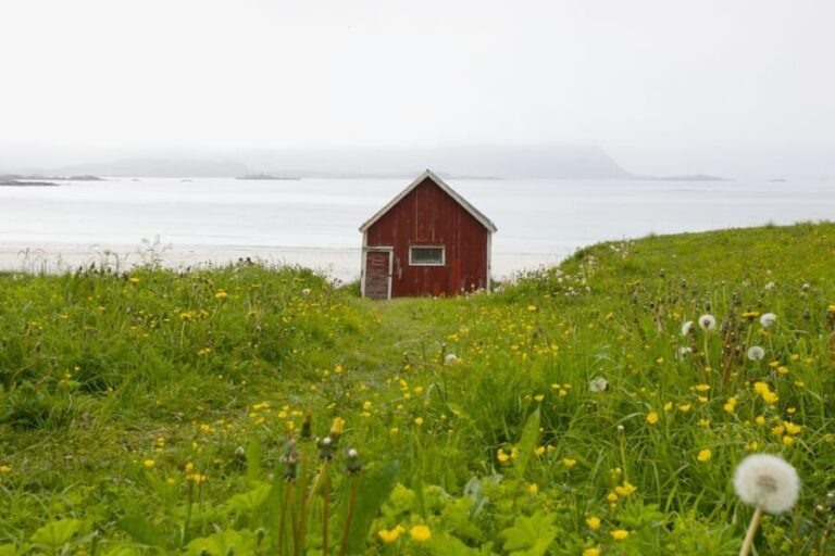 Lofoten: Private tour for cruise visitors (from Leknes) - Start at the Dock and Head to Haukland Beach and Uttakleiv