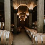 Logroño: Guided visit with tasting of 3 wines and appetizer at Viña Ijalba. - Who Will Love This Tour?