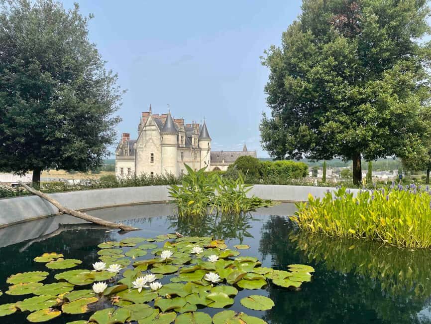 Loire Valley: Château Royal d'Amboise Entrance Ticket - Authentic Insights from Reviewers