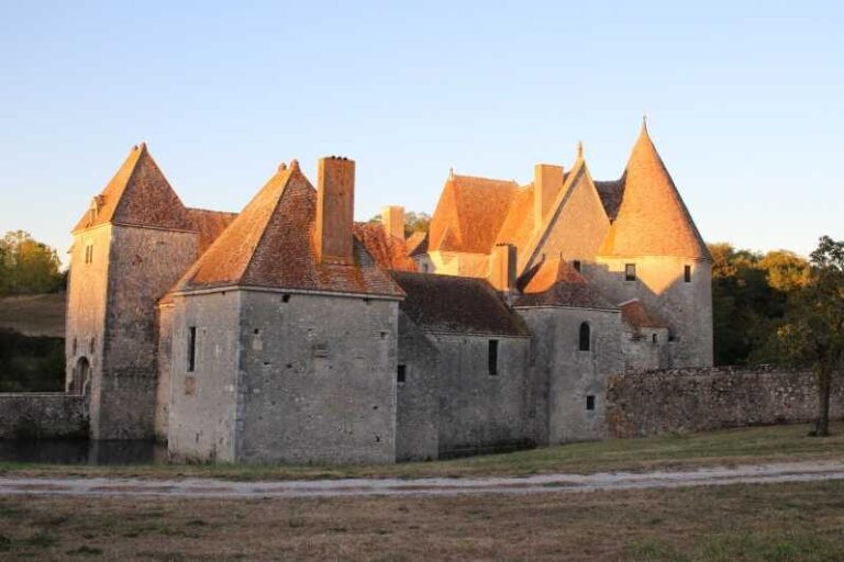Loire Valley; Gastronomic Tour; Medieval Castle - Wine Tasting: A Focus on Quality