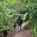 Lomba de São Pedro: Waterfall Hiking Tour with Tea Tasting - An In-Depth Look at the Waterfall Hiking Tour