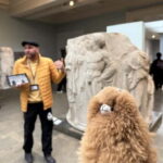 London: British Museum Private Guided Tour - What to Expect During Your Tour