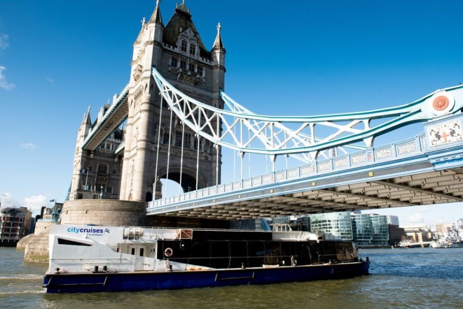 London: Christmas Day Sightseeing Cruise - Who Should Consider This Cruise?