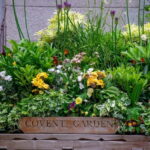 London: Customized Half-Day Private Tour with a Local - Authentic Experiences & Insider Tips