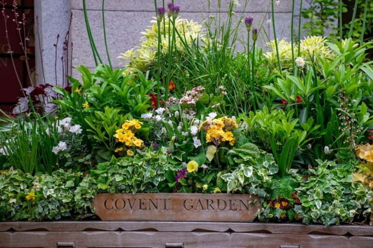 London: Customized Half-Day Private Tour with a Local - Authentic Experiences & Insider Tips