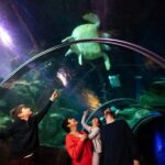 London: Madame Tussauds, London Eye & SEA LIFE Combo Ticket - Practical Details and Tips