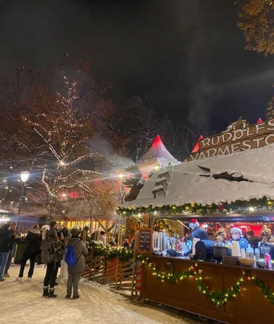 London: Magical Christmas Lights Guided Tour by Private Taxi - The Route and Sight Highlights