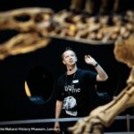 London: Natural History Museum Guided Tour & Afternoon Tea - A Closer Look at the Experience