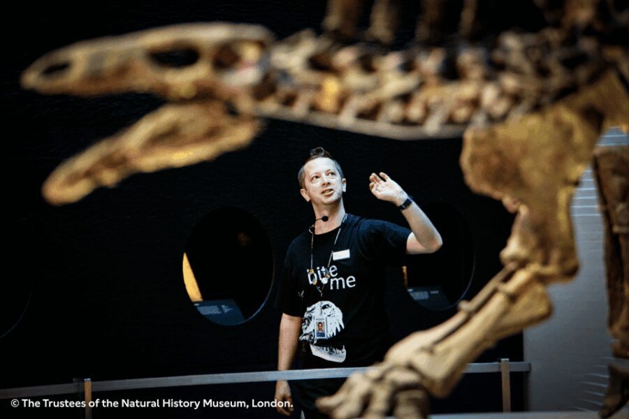 London: Natural History Museum Guided Tour & Afternoon Tea - A Closer Look at the Experience