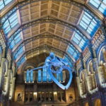 London: Natural History Museum + Guided Tour+ Priority Entry - Who Is This Tour Best For?