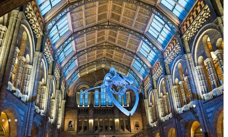 London: Natural History Museum + Guided Tour+ Priority Entry - Who Is This Tour Best For?
