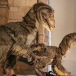 London: Natural History Museum Private Guided Family Tour - Authentic Insights from Reviews