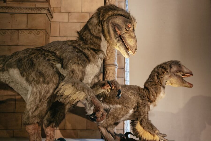 London: Natural History Museum Private Guided Family Tour - Authentic Insights from Reviews