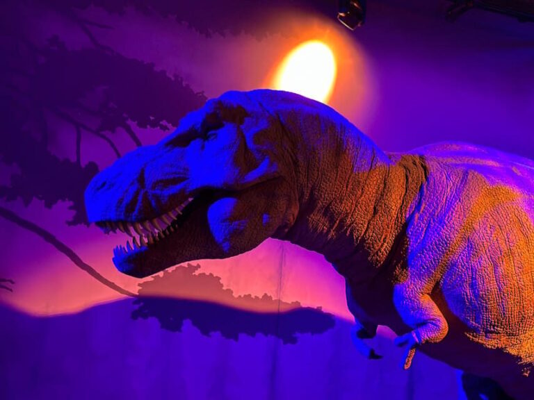 London: Natural History Museum Private Guided Tour - What to Expect on the Tour