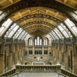 London: Natural History Museum Tour - The Sum Up