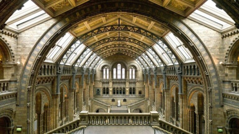 London: Natural History Museum Tour - The Sum Up