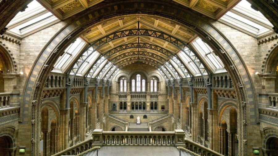 London: Natural History Museum Tour - The Sum Up