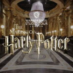 London: Warner Bros. Studio Harry Potter Tour & Branded Bus - Who Is This Tour Best For?