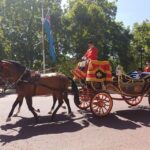 London: Westminster Walking Tour & Westminster Abbey Visit - The Value of This Tour