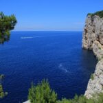 Long Island full day tour - Practical Details and What to Expect