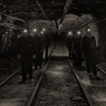 Longyearbyen: Historic Coal Mine Tour at Gruve 3 - Who Will Love This Tour?