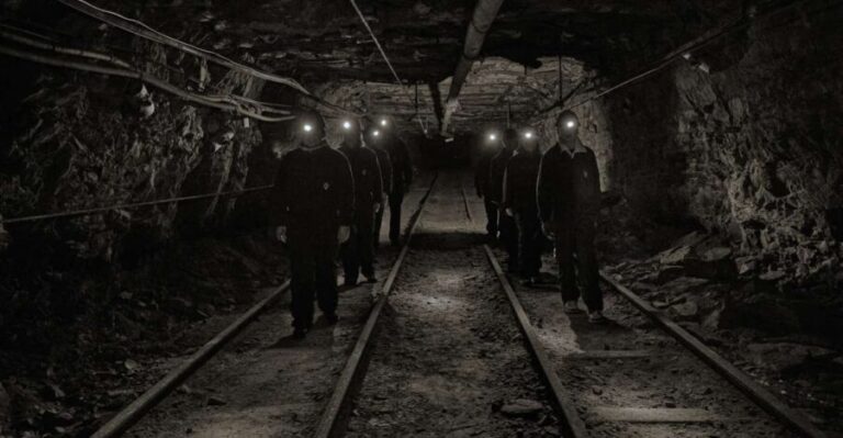 Longyearbyen: Historic Coal Mine Tour at Gruve 3 - Who Will Love This Tour?
