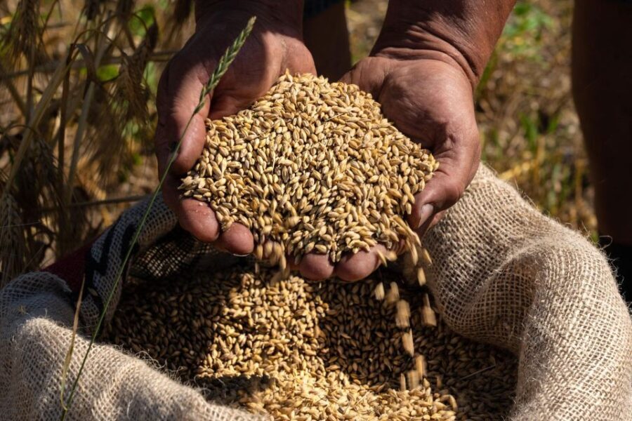 Loosbroek: Grain-to-glass Whisky Distillery Tour & Tasting - The Practicalities You Should Know