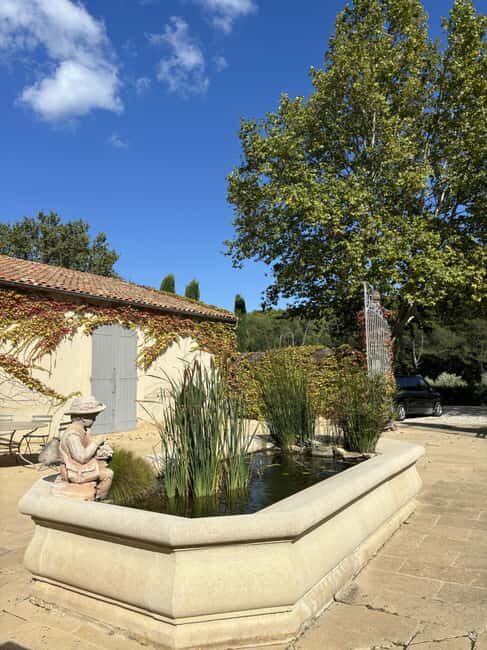 Luberon: Full-Day Wine Tour from Marseille - What Reviewers Are Saying