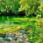 Luberon, Roussillon & Gordes Half-Day Tour from Avignon - What to Expect on the Tour