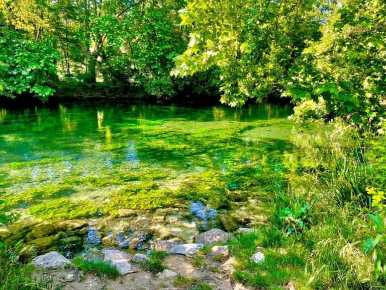 Luberon, Roussillon & Gordes Half-Day Tour from Avignon - What to Expect on the Tour