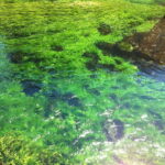 Luberon villages Full-day tour from Aix-en-Provence - What Makes This Tour Stand Out