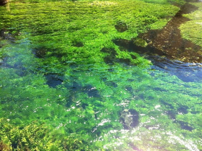 Luberon villages Full-day tour from Aix-en-Provence - What Makes This Tour Stand Out