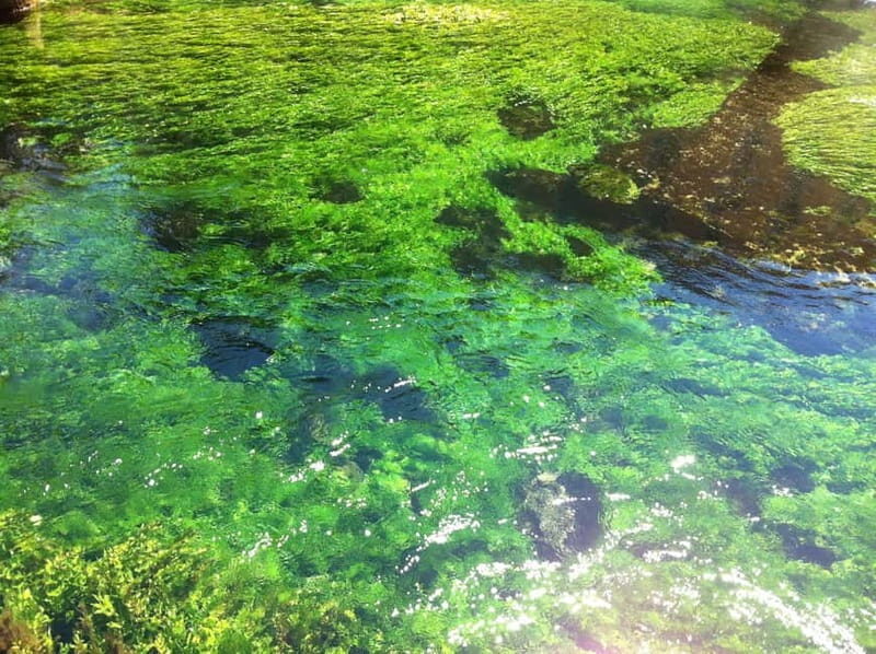 Luberon villages Full-day tour from Aix-en-Provence - What Makes This Tour Stand Out