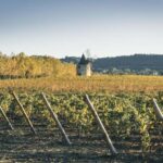 Luberon: Vineyard Tour and Wine Tasting - The Itinerary in Detail: What to Expect