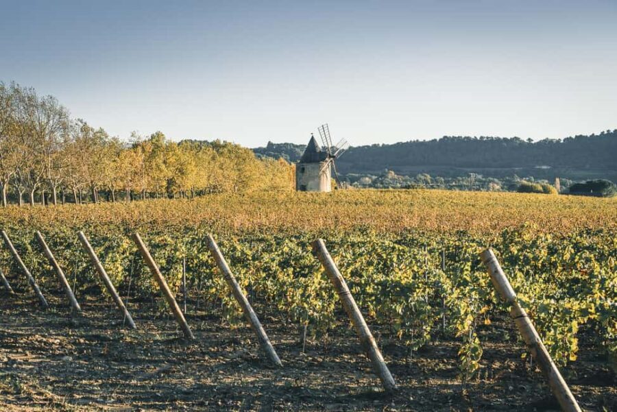 Luberon: Vineyard Tour and Wine Tasting - The Itinerary in Detail: What to Expect