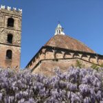 Lucca: 2-Hour City Center Walking Tour - Who Should Consider This Tour?